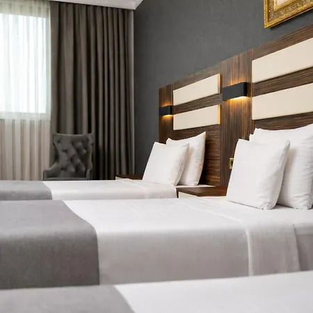 Akguen Laleli מלון