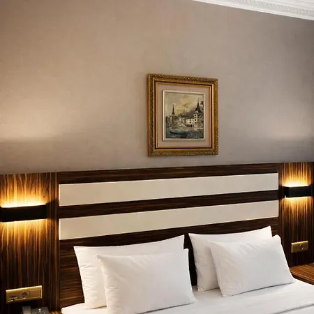 מלון Akguen Laleli